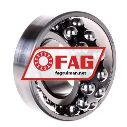 FAG 2209TV-C3 rulman resim 2