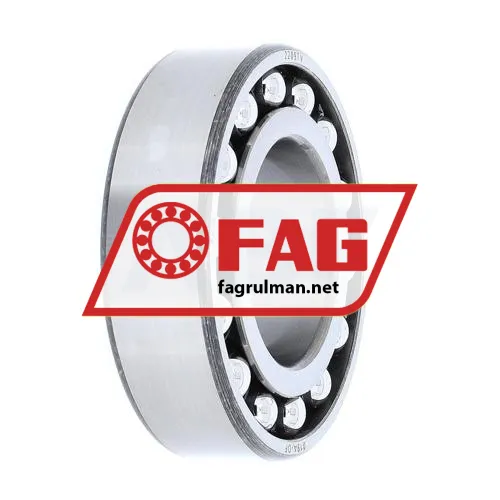 FAG 2209TV