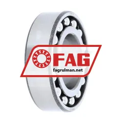 FAG 2209TV