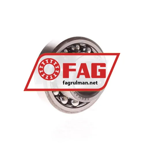 FAG 11305