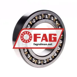 FAG 2217M