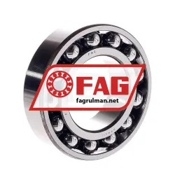 FAG 2213TV
