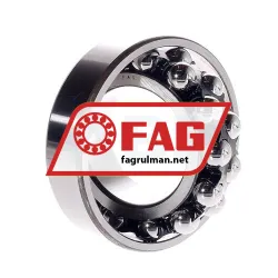 FAG 2213TV rulman resim 2