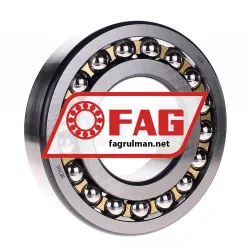 FAG 1318M