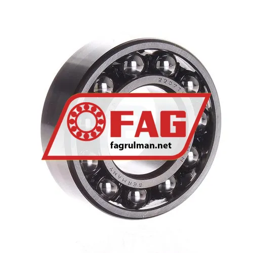 FAG 2207TV