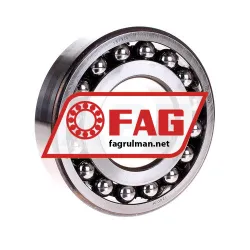 FAG 1313TV