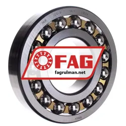 FAG 1320M