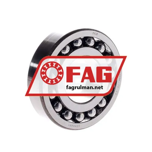 FAG 1309K-C3