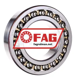 FAG 2219M