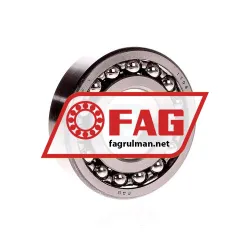 FAG 1308