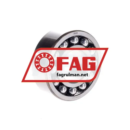 FAG 2309TV