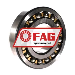 FAG 1317M
