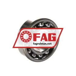 FAG 1205K-TV-C3 rulman resim 2