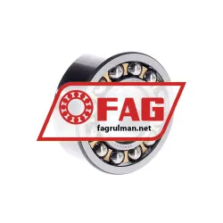 FAG 2309M