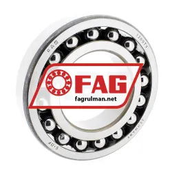 FAG 1209TV