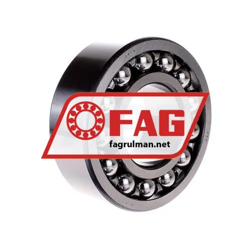 FAG 2314