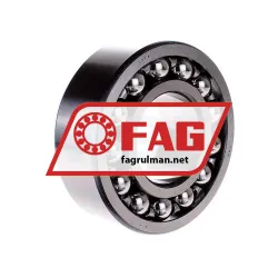 FAG 2314