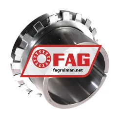 FAG H318X303 rulman resim 2