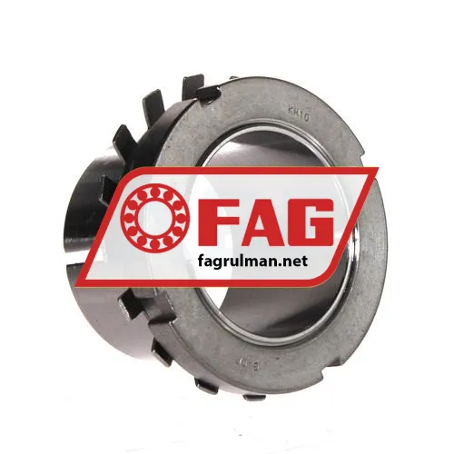 FAG H310