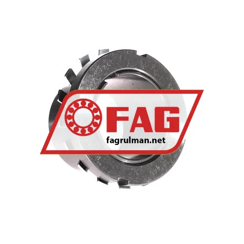 FAG H309