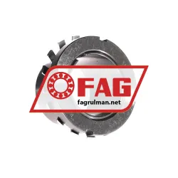 FAG H309
