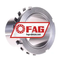 FAG H2319