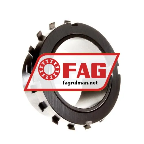 FAG H220-308