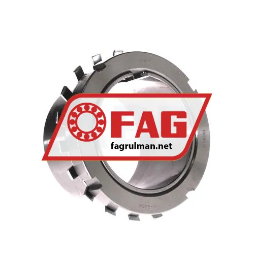 FAG H317X300