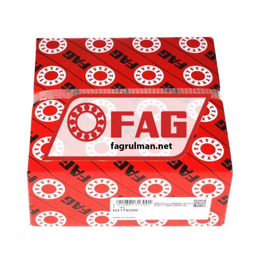 FAG H317X300 ürün fotoğrafı 5