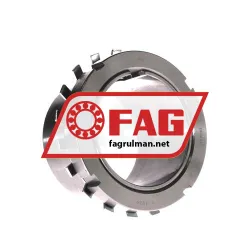 FAG H317X300