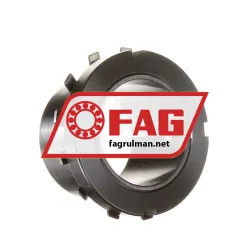 FAG H310-112