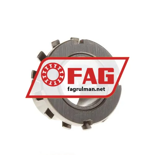FAG H306-100