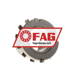 FAG H306-100