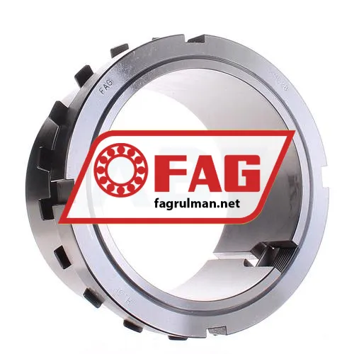 FAG H3028