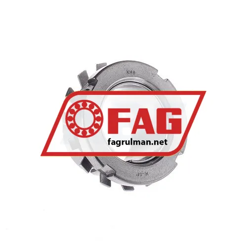 FAG H208