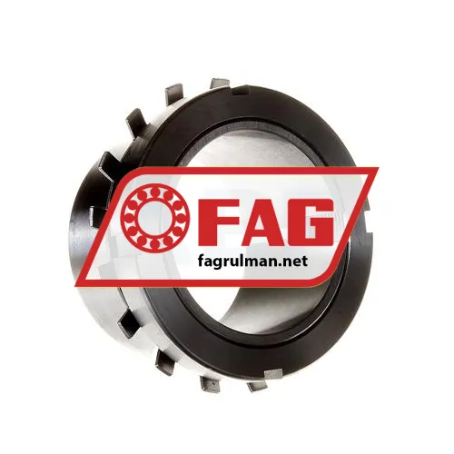 FAG H317