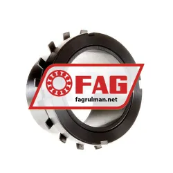 FAG H317