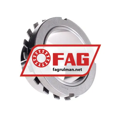 FAG H219