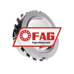FAG H219