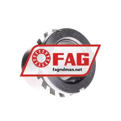 FAG H2309