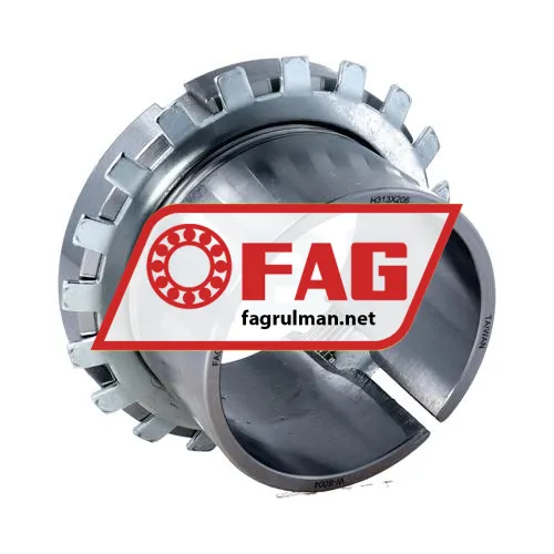 FAG H313X206