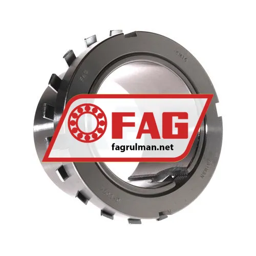 FAG H3160