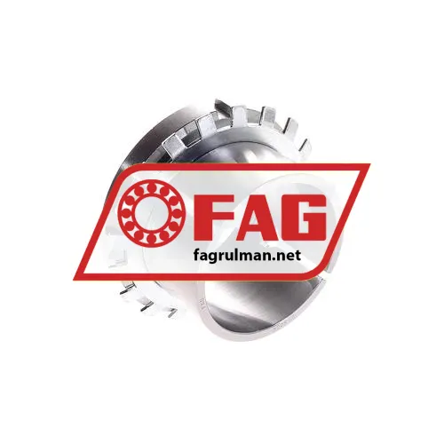FAG H313