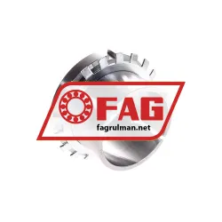 FAG H313