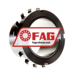 FAG H320X308
