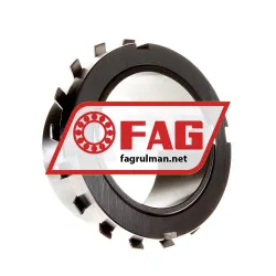 FAG H220X308