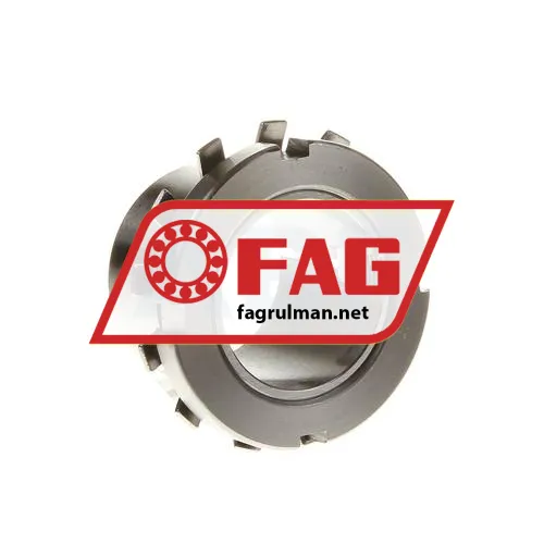 FAG H308