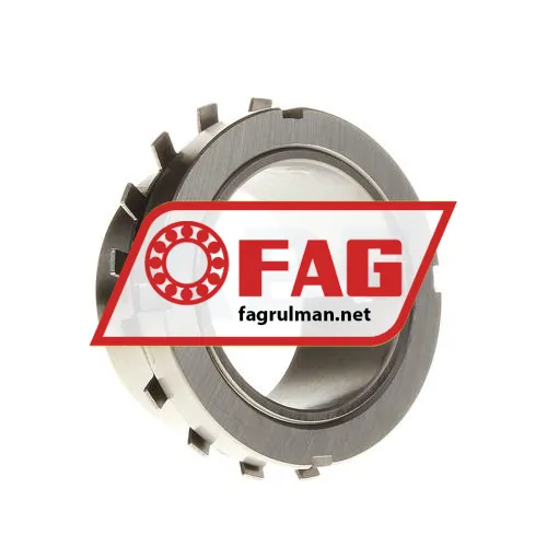 FAG H217