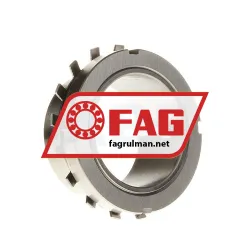 FAG H217