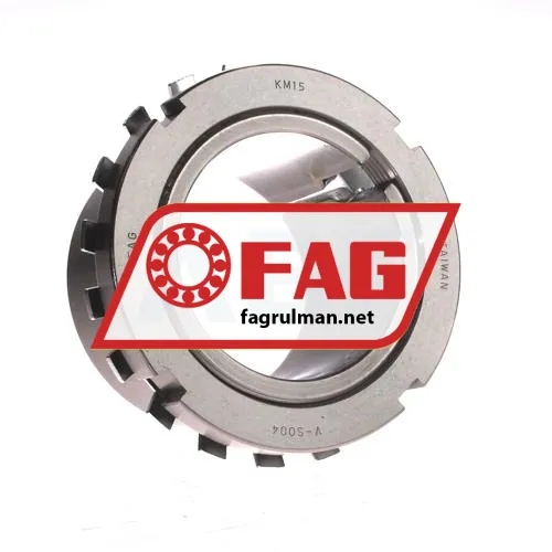 FAG H315X207